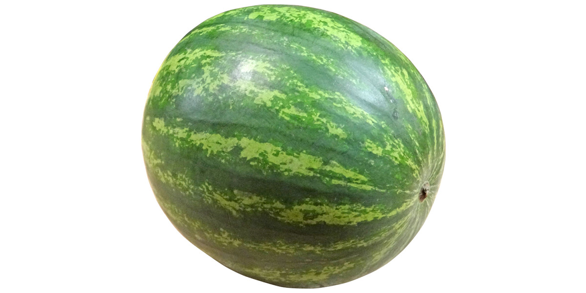 sandveld_seeds_congo_melon_wat