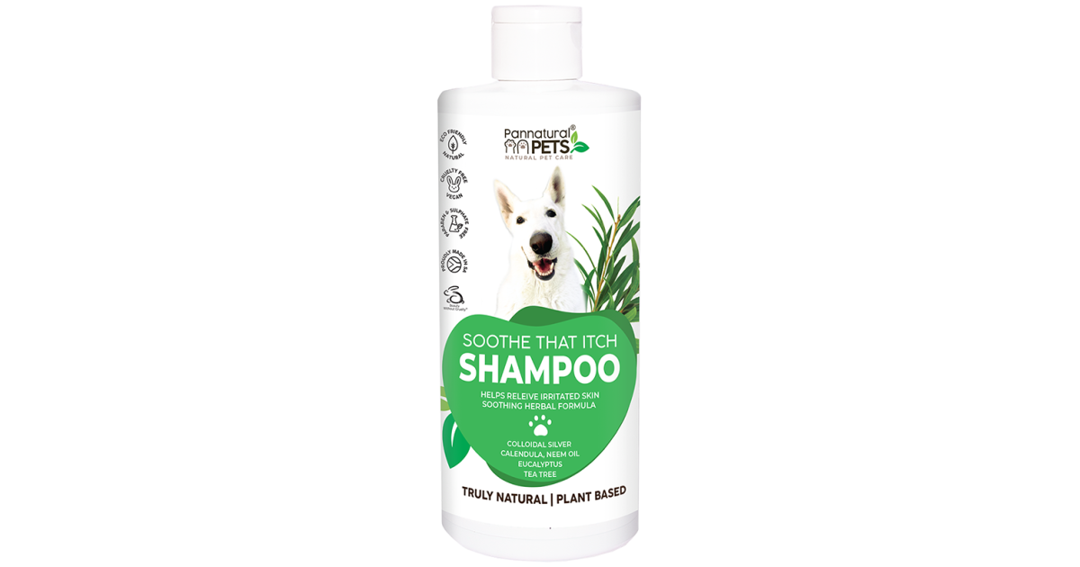 shampoo medicine for dogs to stop itching