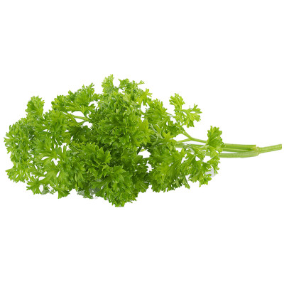 Sandveld Seeds Curly Parsley