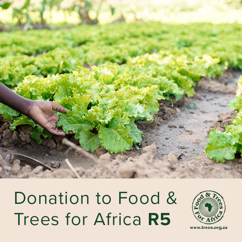 Buy Donation to Food & Trees for Africa R5 Online Faithful to Nature