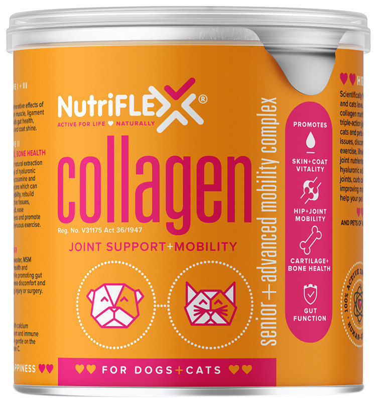Buy NutriFlex Collagen for Advanced + Senior Cats & Dogs 250g Online
