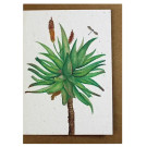 Growing Paper Aloe Greeting Card
