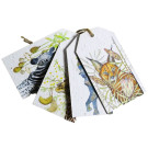 Growing Paper In The Veld Tags 