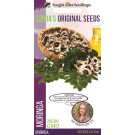 Linda's Original Seeds Moringa