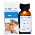 Pegasus Injury 6c