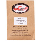Sandveld Seeds Spinach Fordhoek Giant alike