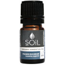 SOiL Frankincense Essential Oil