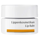 Dr. Hauschka Lip Balm - Jar