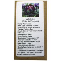 6 Degrees East Heirloom Veg Seeds - Artichoke - Violet de Provence