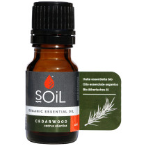 Soil Cedarwood Essential Oil