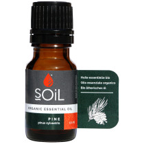 Soil Pine Essential Oil