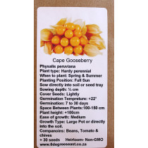 6 Degrees East Heirloom Veg Seeds - Cape Gooseberry 