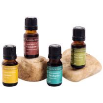 FtN Cold & Flu Essential Oil Support Bundle