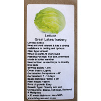 6 Degrees East Heirloom Veg Seeds - Lettuce - Great Lakes