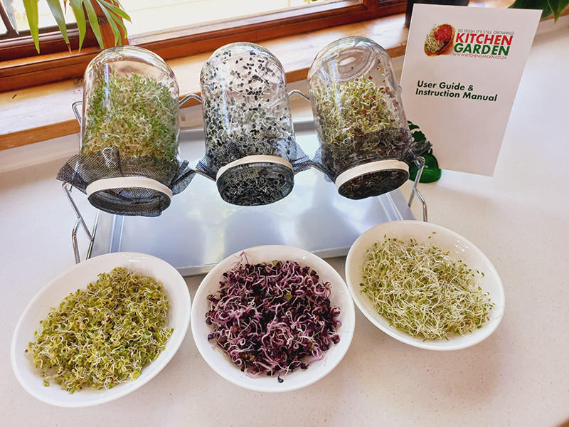 Buy Kitchen Garden 3L Sprouting Kit Online Faithful to Nature