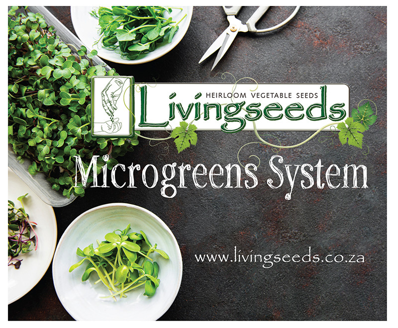 Buy Livingseeds Microgreens System Online Faithful to Nature