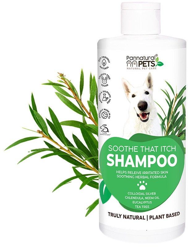 Buy Pannatural Pets Shampoo Itch Skin Relief Online Faithful